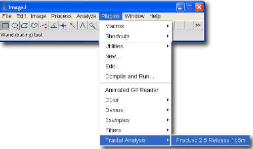screen shot of ImageJ with the FracLac plugin showing